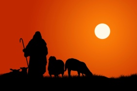 @Glowimages: Silhouette Of Shepherd And Sheep